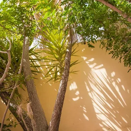 Encantador 120 M2 Vistas Al Mar Y Montana Apartment