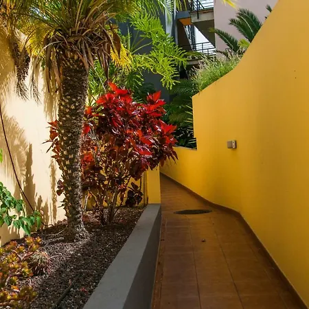 Encantador 120 M2 Vistas Al Mar Y Montana Candelaria